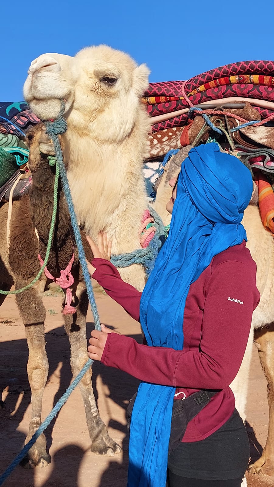 Voyageuse au turban bleu partageant un instant complice avec un dromadaire blanc dans le désert