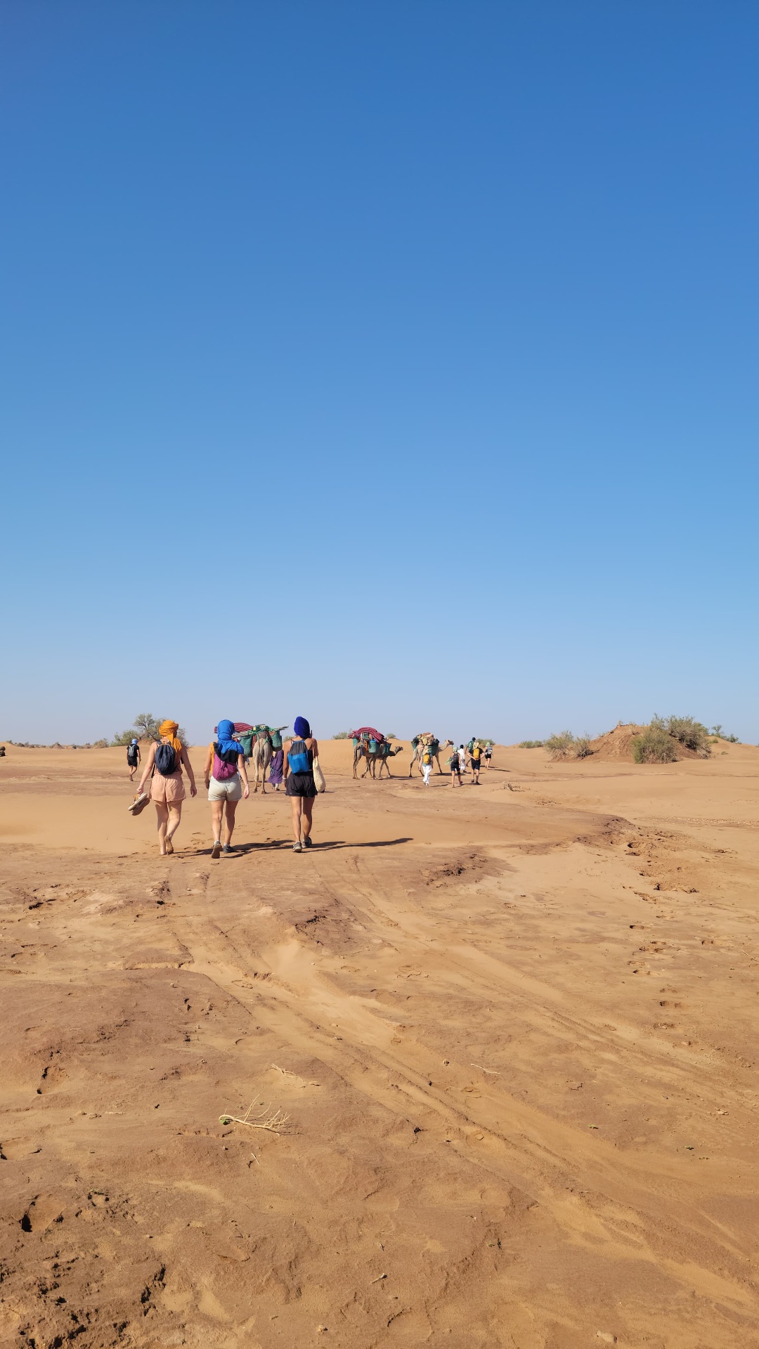 Voyageurs de dos suivant la caravane de dromadaires sous un ciel bleu