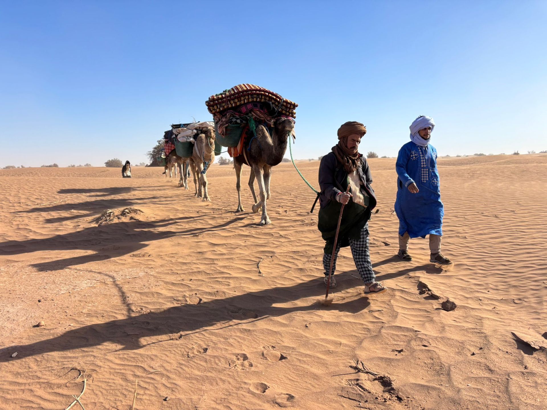 Caravane de dromadaires et guides nomades traversant les dunes du Sahara, longues ombres portées